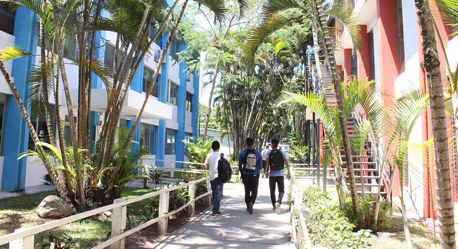 Estudiantes en actividad