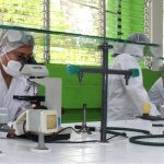 Web2017_4_Quimica