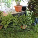 Foto_jardinera_con_plantas_1