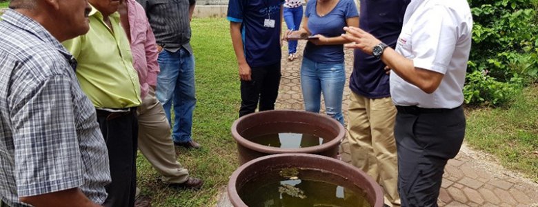 FORTALECIMIENTO DE COOPERATIVAS ACUiCOLAS CON SIEMBRA DE ALEVI (4)