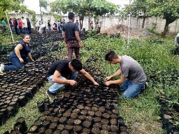 PROYECTO SOCIAL: DISEÑO E IMPLEMENTACIÓN DE UN VIVERO FORESTAL PARA EL CUIDADO DEL MEDIO AMBIENTE Y LA REDUCCIÓN DE RIESGOS ASOCIADOS AL CAMBIO CLIMÁTICO