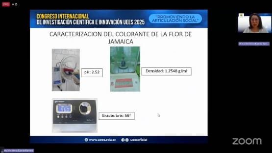 Proyecto colorantes orgánicos