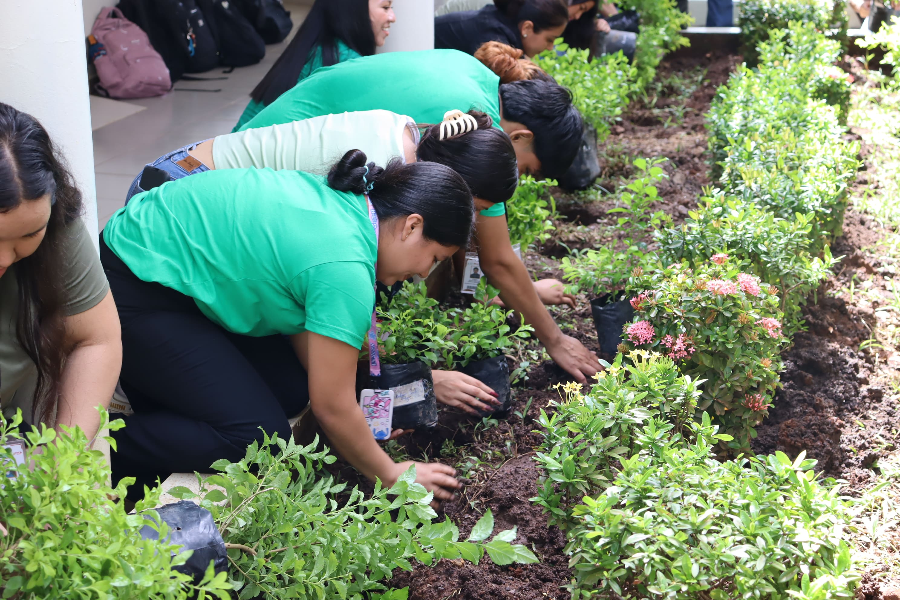 SEMBRAR UNA PLANTA ES SEMBRAR VIDA, ESPERANZA Y FUTURO